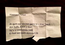 'Haenau'r Tirlun' poem