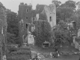 Raglan Castle from West