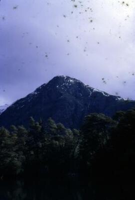 [Mountain peak, Los Alerces National Park]