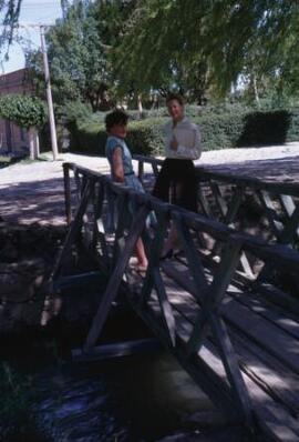 [Two ladies on a footbridge, Dolavon]