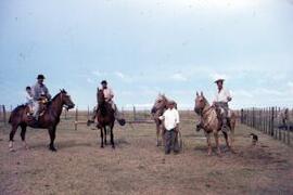 [Gauchos on horseback]