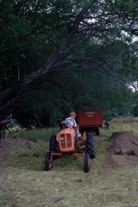 [Boy driving an orange tractor]