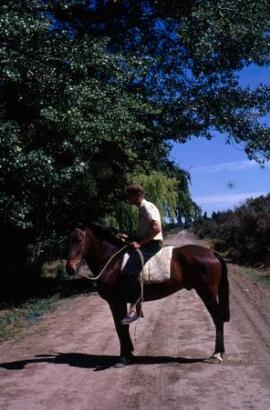 [Man on horseback]