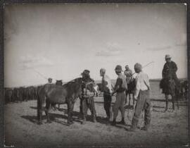 [Mongolian horsemen]