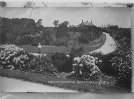 Botanic Gardens, Roath Park, Cardiff