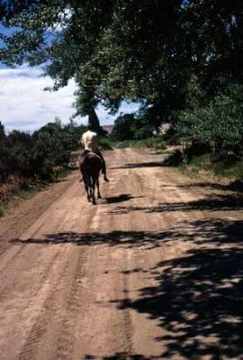 [Horseback rider]