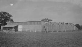 [Modern agricultural building]