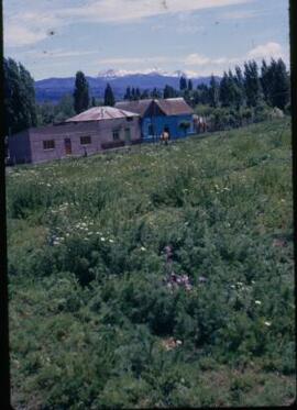 [Farm, with Andes beyond]