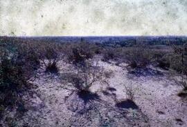 [Desert above Dyffryn Camwy]