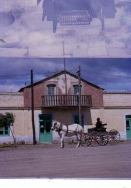 [Horse and cart outside a shop in Trevelin]