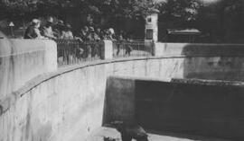 [Lloyd George entourage at the Bear Pit, Bern Zoo]