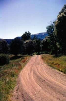 [Dirt track, Los Alerces National Park]