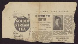 Newspaper cutting