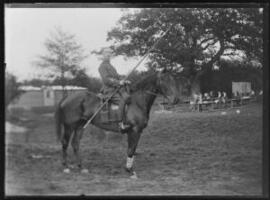 [Mounted Soldier with Lance]