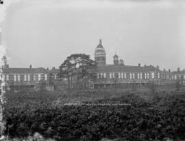The Asylum, Whitchurch, Cardiff : Cardiff City Mental Hospital, Whitchurch.
