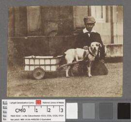 [Boy with dog & dogcart]
