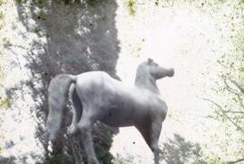 [Statue of a Horse]