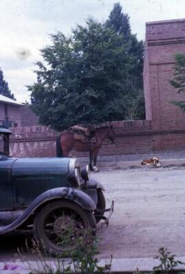 [Vintage car and horse]