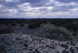 The Desert or Meseta, Chubut