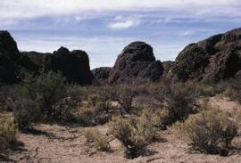 [Desert landscape]