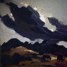 [Welsh Black Cattle & storm cloud]