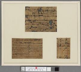Papyri from Oxyrhynchus,
