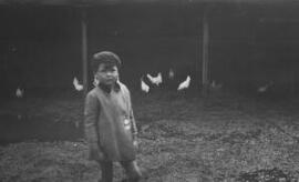 [Young child in a farmyard]