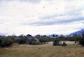 [Grassland and distant farm buildings]